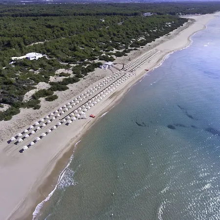 Ethra Reserve Alborea