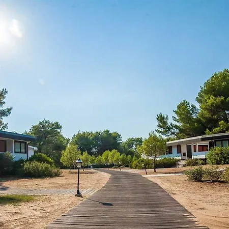 Ethra Reserve Alborèa
