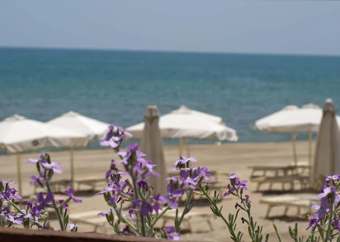 Ethra Reserve Alborea 5*